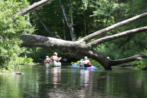 Florida's Outdoor Coolest spots - canoeing at Alexander Springs
