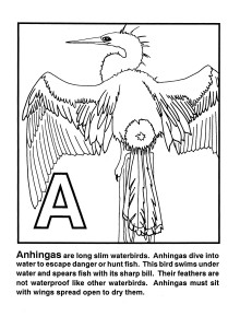 Microsoft Word - Document4