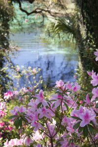 Florida coloring books - some are about aquatic preserves