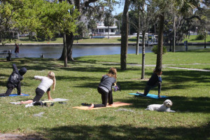 Go Greek - yoga in the park