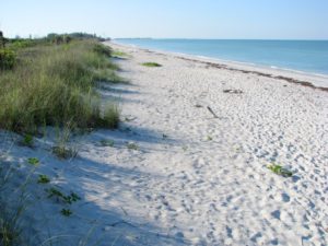 Don Pedro Island State Park