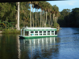 Florida state parks - silver springs