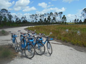 Babcock ranch bikes