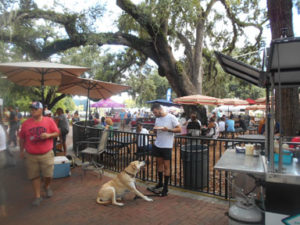 Orlando Farmers Market