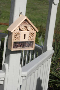 beehive at the Celery Fields