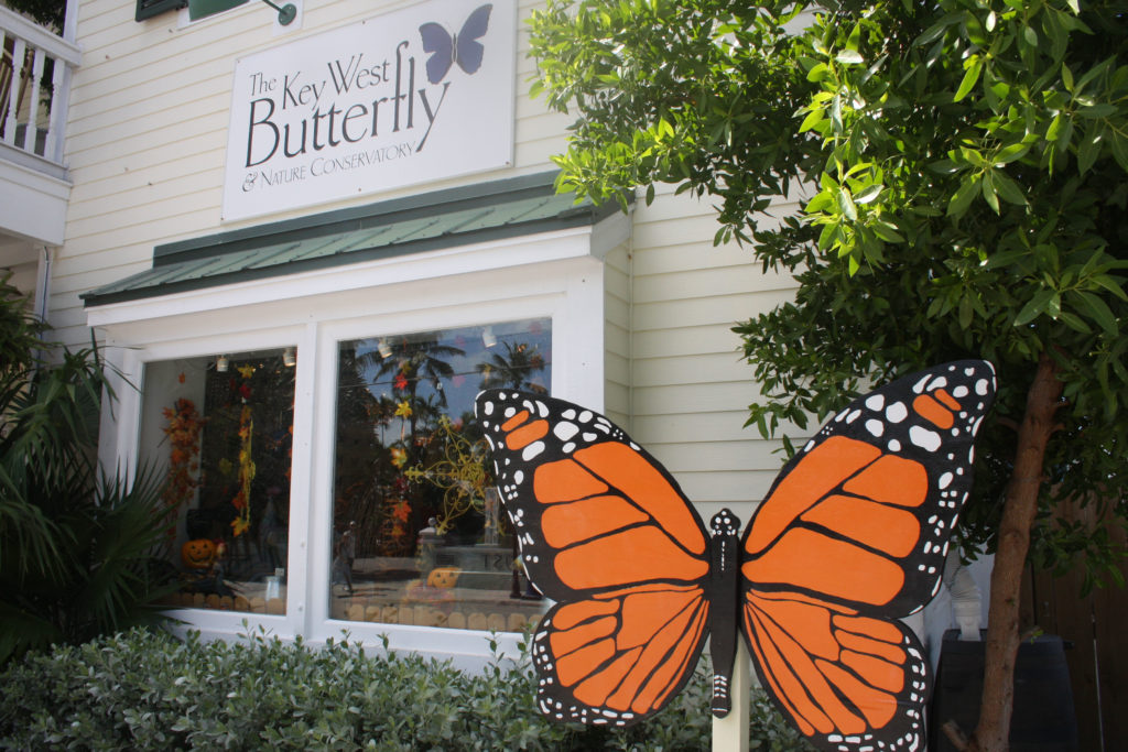 Key West Butterfly & Nature Conservancy from the outside